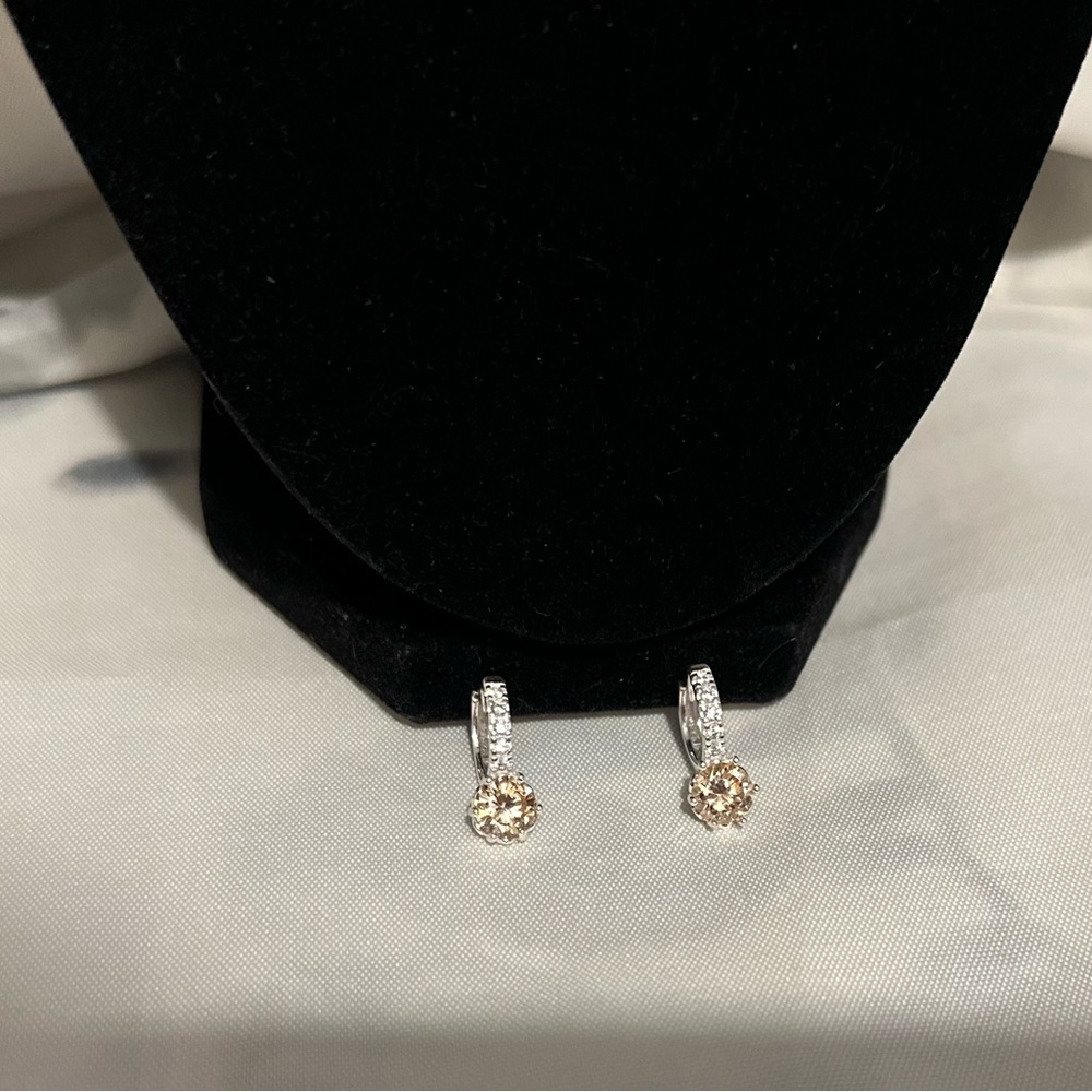 Beautiful Silver and Gold-Toned Hoop Earrings - Picture 8 of 8